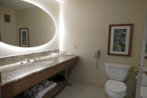 Moody Gardens Hotel Spa And Convention Center image 18