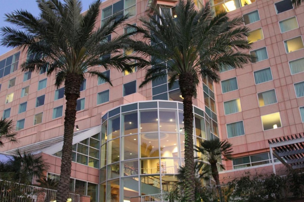 Moody Gardens Hotel Spa And Convention Center Image 20