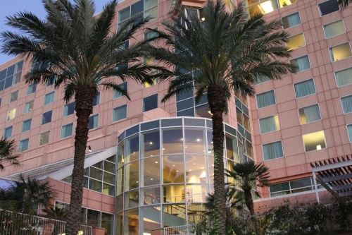Moody Gardens Hotel Spa And Convention Center image 20