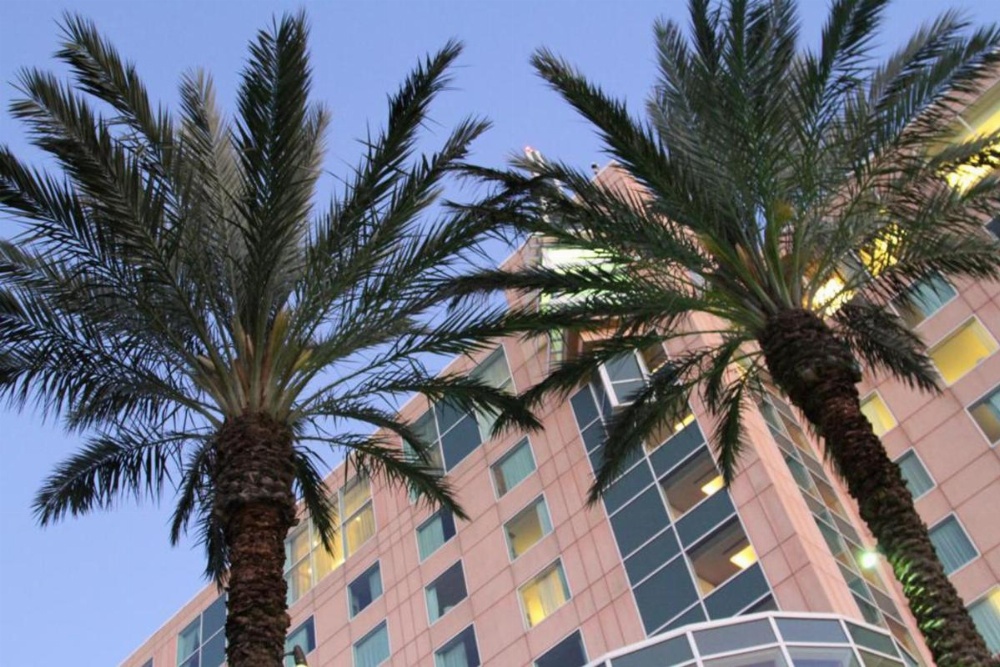 Moody Gardens Hotel Spa And Convention Center Image 21