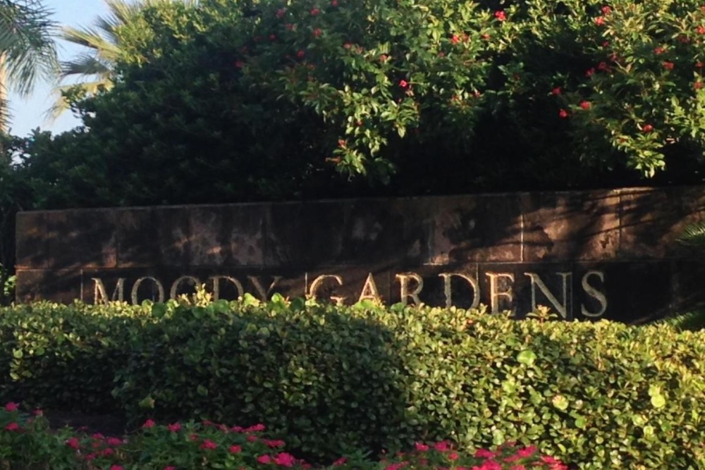 Moody Gardens Hotel Spa And Convention Center Image 28